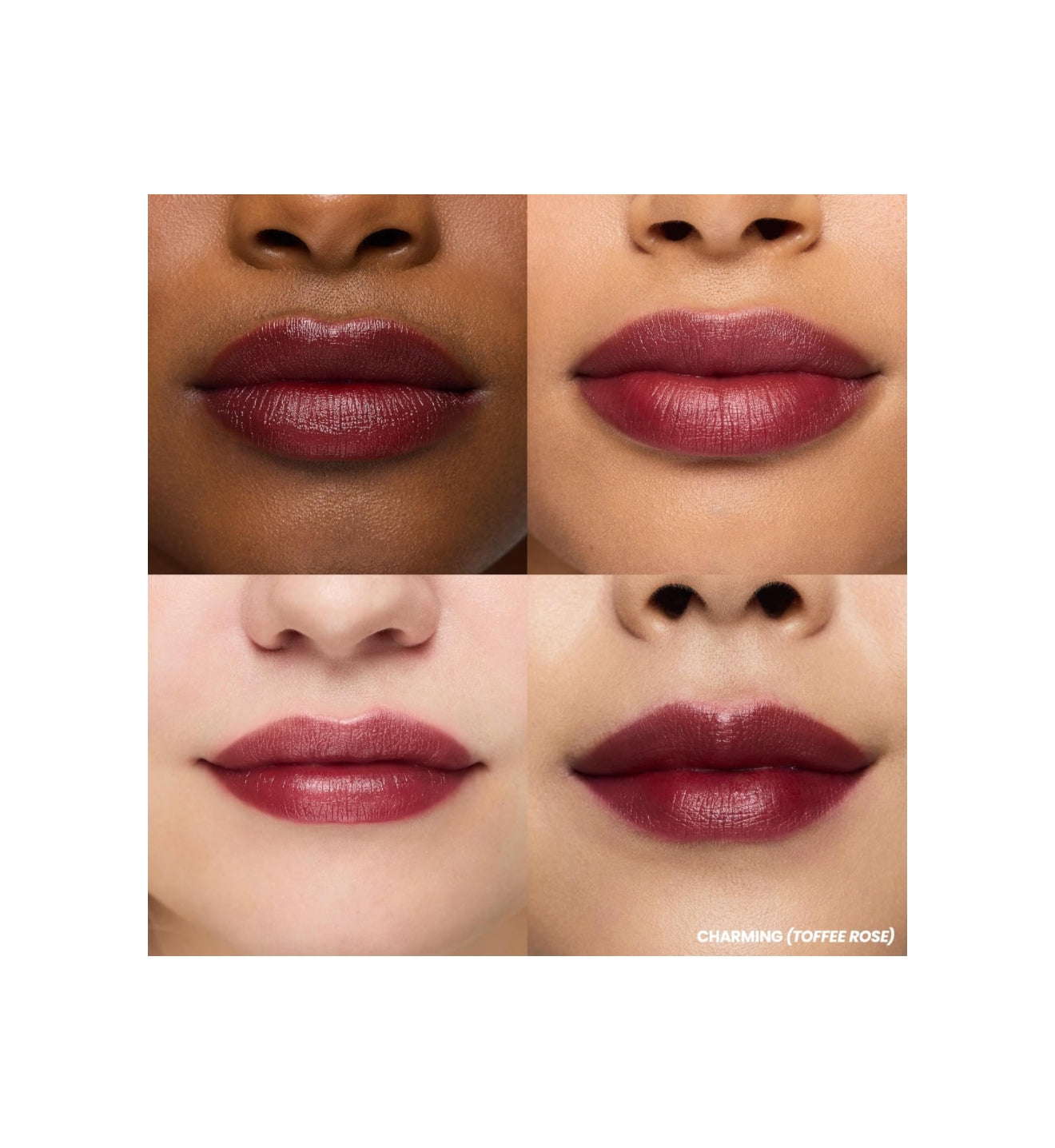 Wonderskin Lip Stain (Charming)